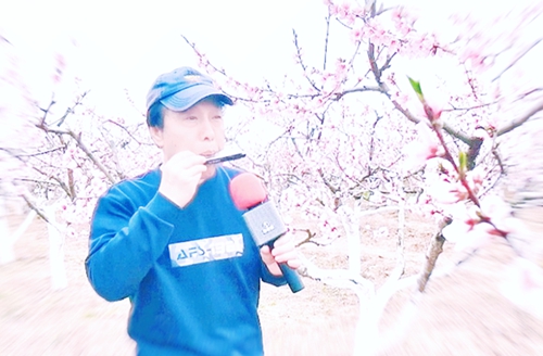 曹林洲：在时光里雕琢光阴的人——宝哥...